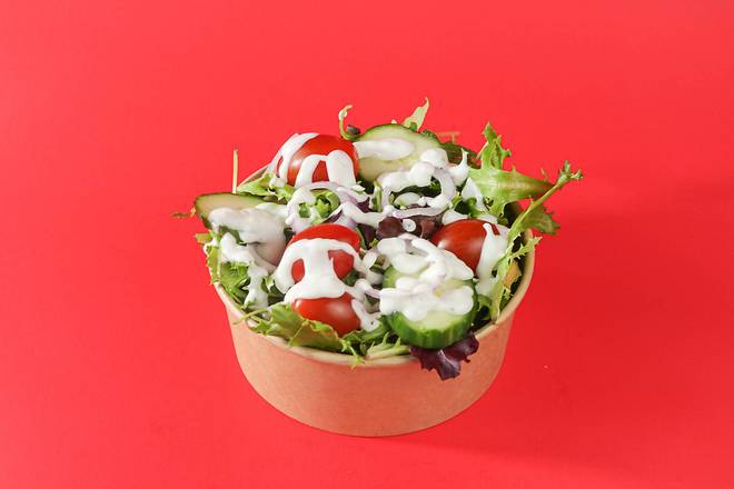Salade jardinière / Garden Salad