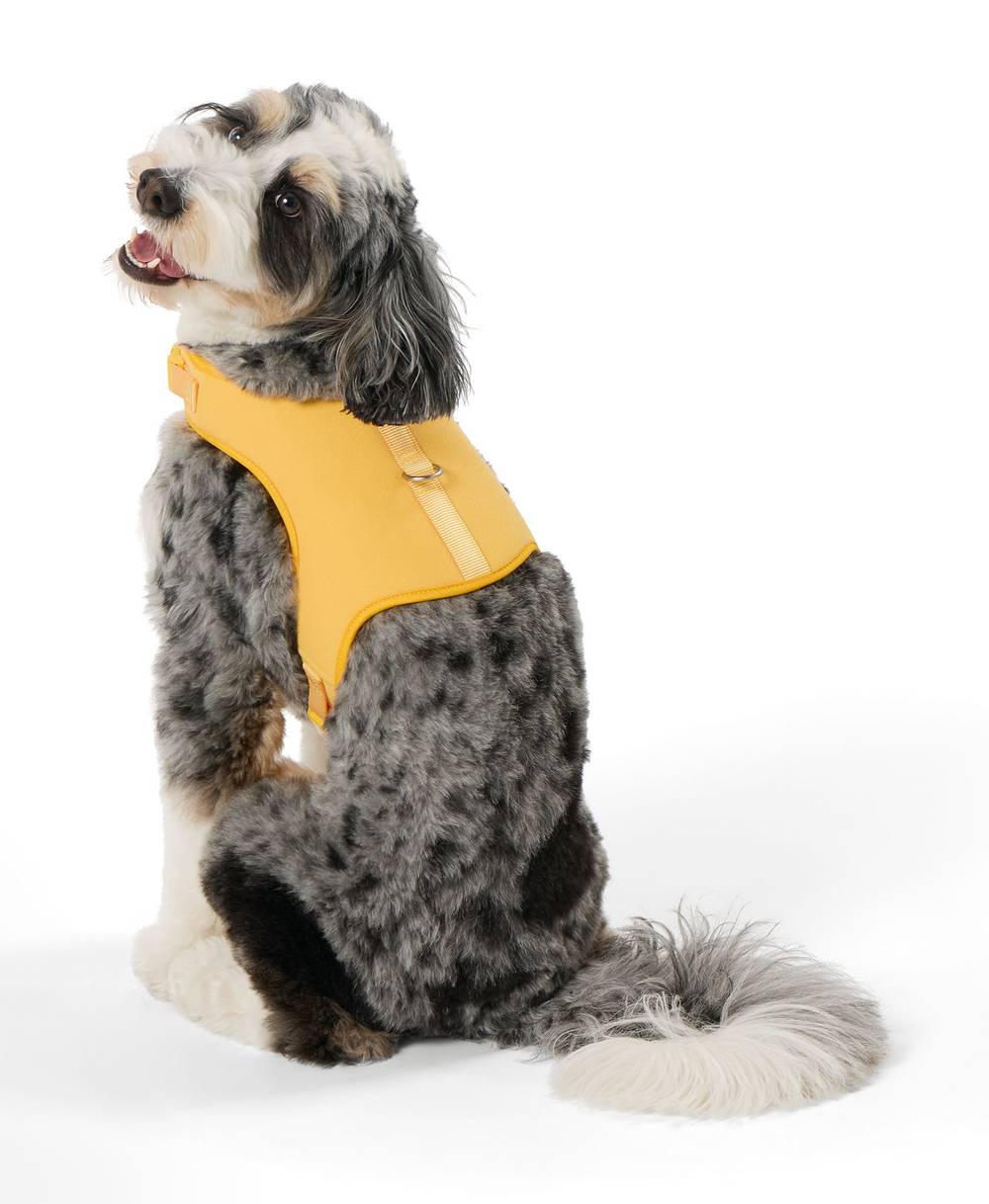 Top Paw® DIY Customizable Dog Harness (Size: Small)