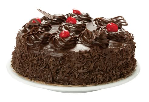 Double Fudge Dessert Cake (1.35 kg)