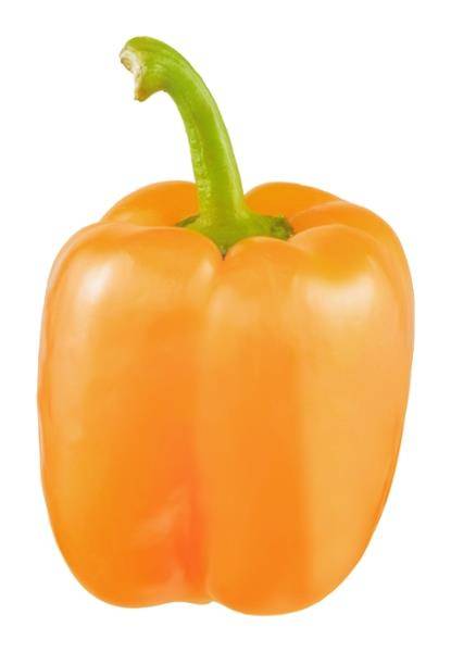 Orange Bell Pepper