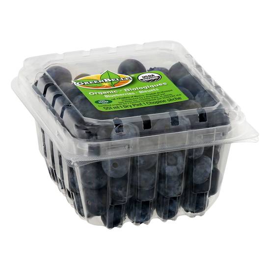 Green Belle Organic Blueberries