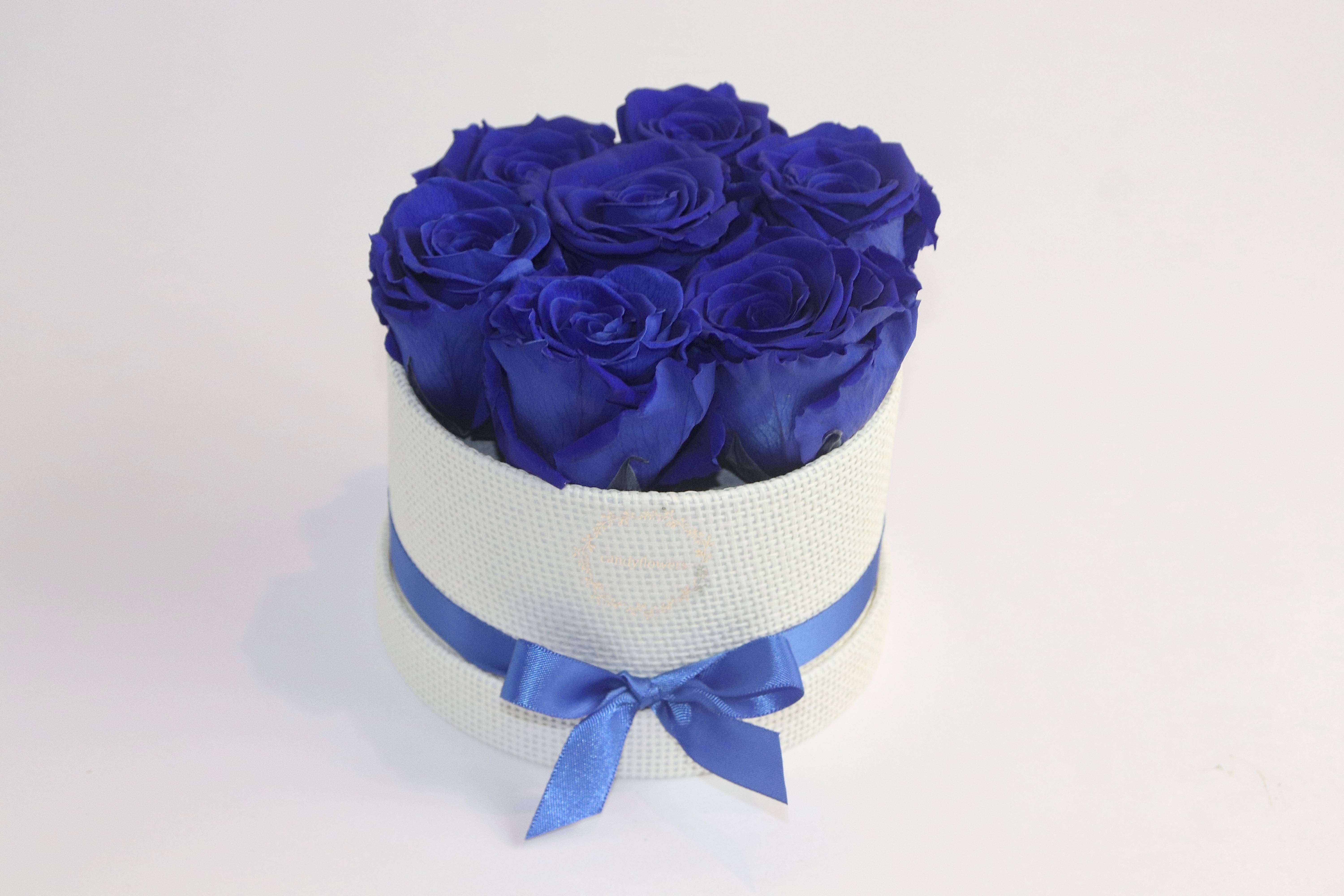 Little rose éternelle bleue