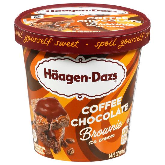 Häagen-Dazs Coffee Chocolate Brownie Ice Cream