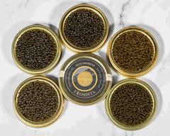 The One Caviar Bar (unit 108-1 Yorkville Avenue)