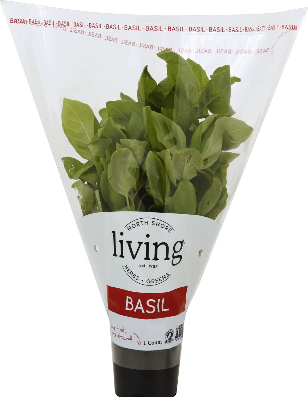 North Shore Living Herbs Basil