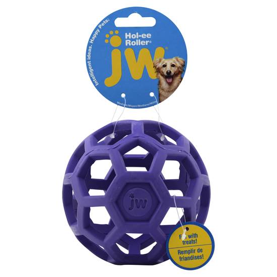 Jw Medium Treat Ball Dog Toy