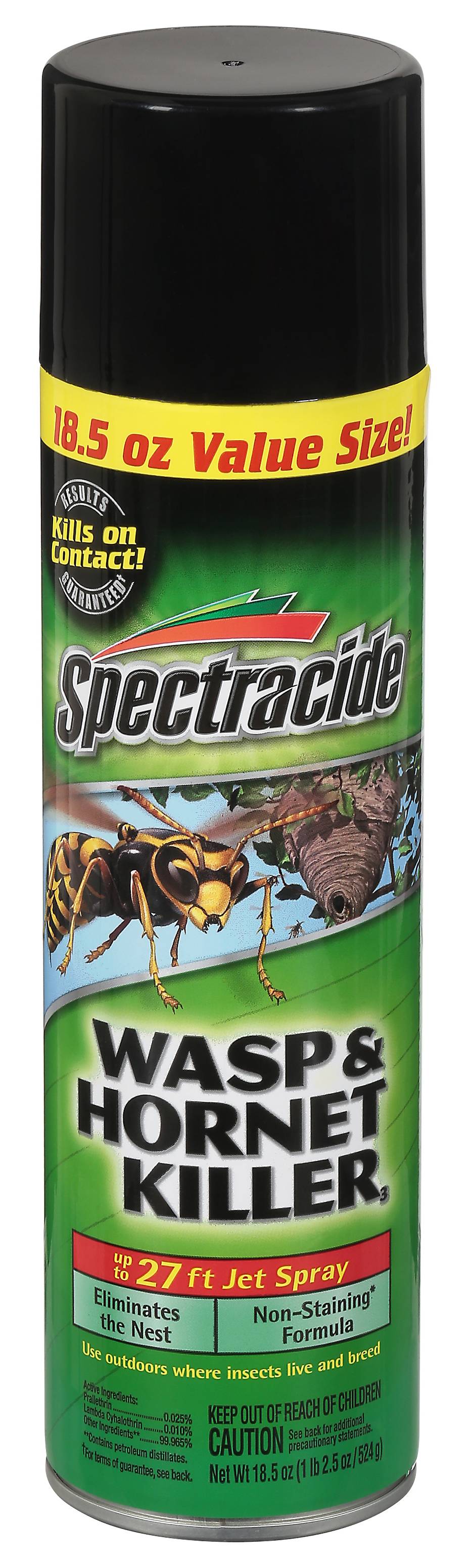 Spectracide Wasp and Hornet Killer (18.5 oz)