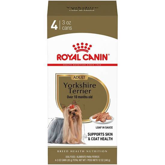 Royal Canin Breed Health Nutrition Yorkshire Terrier Loaf in Sauce Dog Food Multipack, 3 Oz., Case Of 4