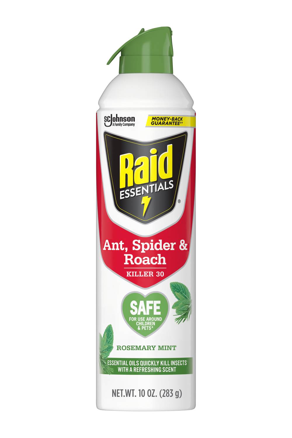 Raid Ant, Spider & Roach Killer Spray (10 oz)