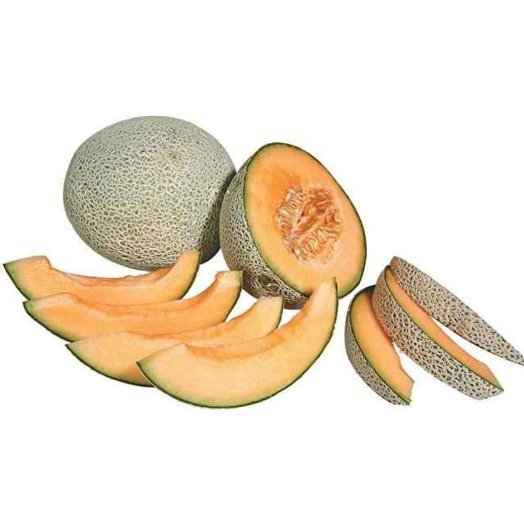 Cantaloupe 9-15 Count Fresh