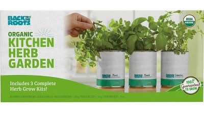 Back to the Roots 3pk Organic Kitchen Herb Garden Seed Kits: Mint, Grow Can, Full Sun Required