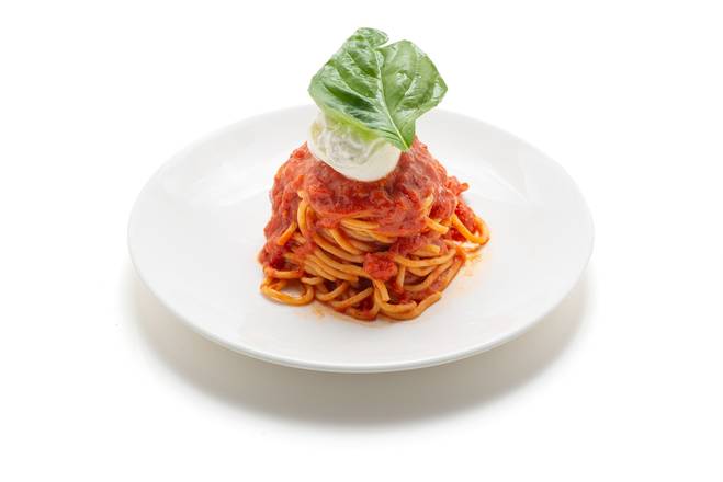 Spaghetti Pomodoro & Burrata