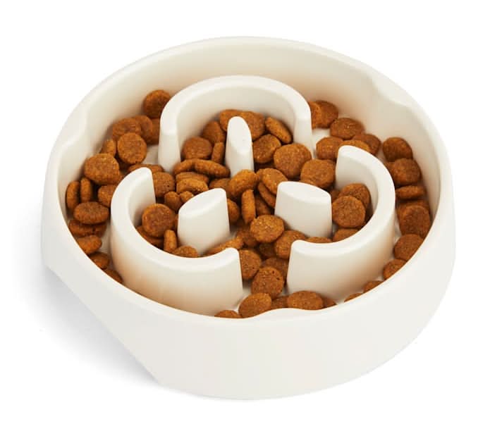 EveryYay Take It Slow Feeder Dog Bowl 12.8 fl oz, White