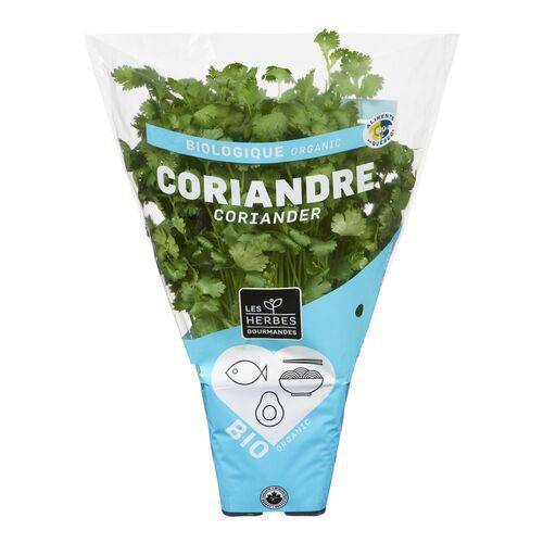 Les herbes gourmandes · Organic coriander plant - Plante de coriandre biologique (1 bunch - 1botte)