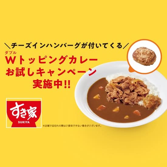 ＜ キャンペーン概要・注意事項 ＞