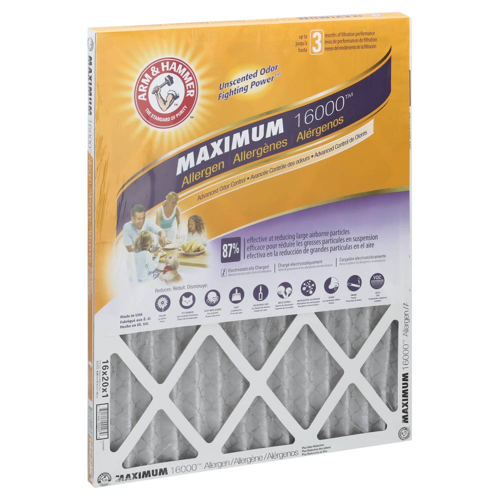 Arm & Hammer Maximum 16000 Allergen Air Filter (6.4 oz)