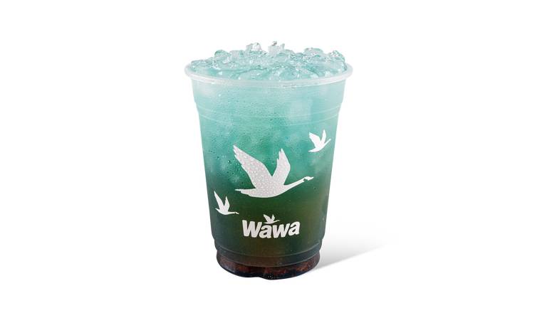 Iced Wawa Rechargers Energy Drinks - Aqua +