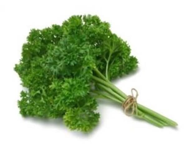 Fresh Curly Parsley