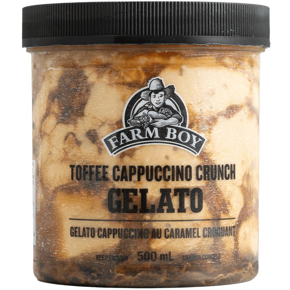 Farm Boy™ Toffee Cappuccino Crunch Gelato (500 ml)
