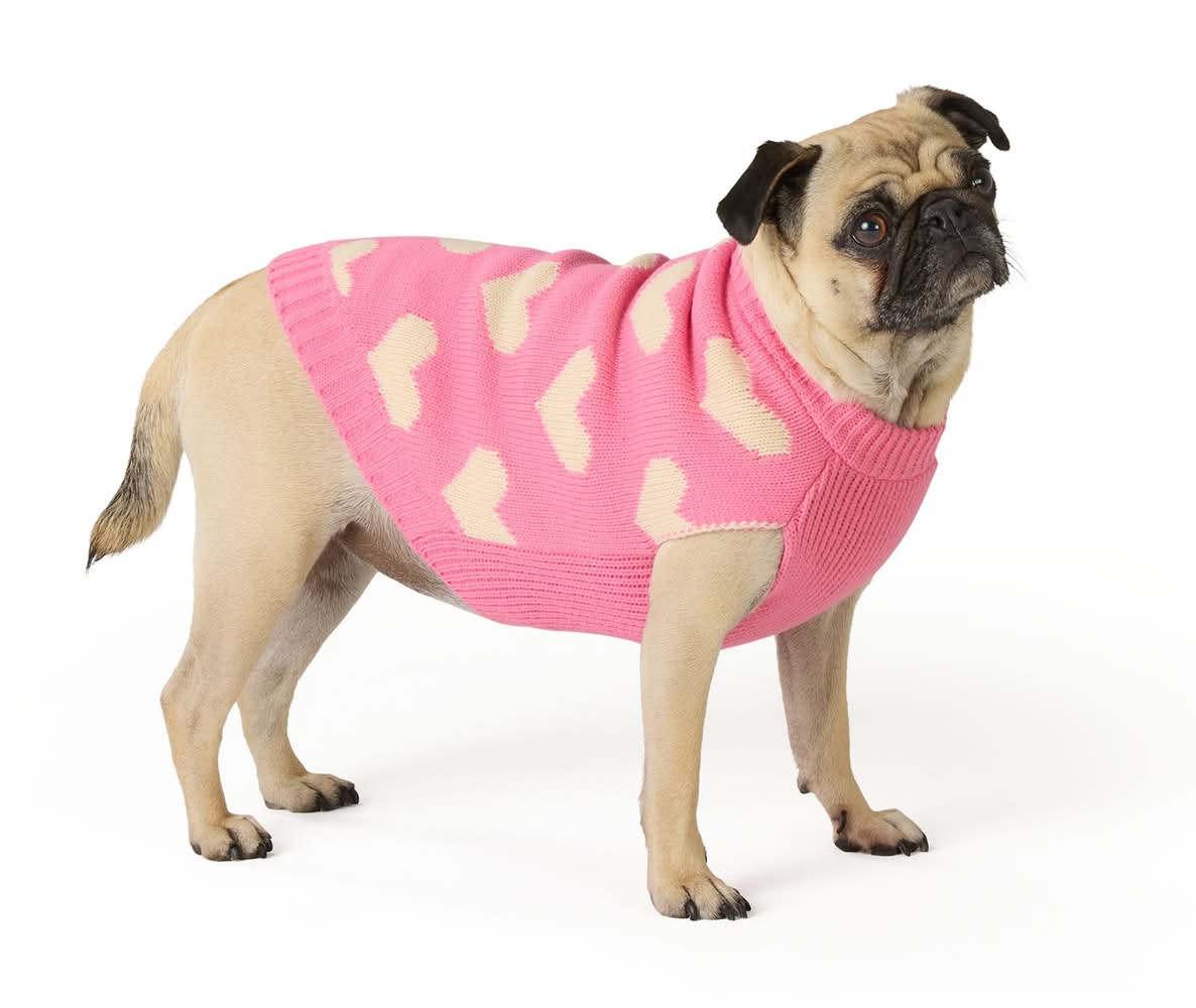 Top Paw® Hearts Dog Sweater (Color: Multi Color, Size: Medium)