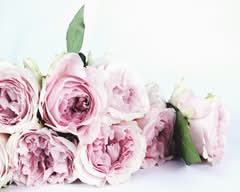 Flowers By AITAK