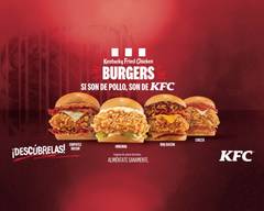 KFC CENTRO CC 1169