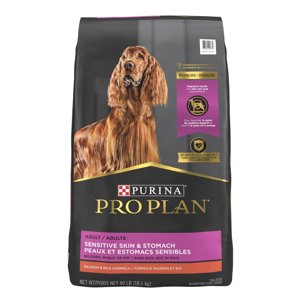 Pro Plan Purina Sensitive Skin and Stomach Adult Dog Food (salmon and rice formula)