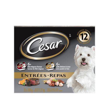 Cesar Classic Loaf in Sauce Wet Dog Food, Filet Mignon-Chicken & Liver (12 x 100 g)