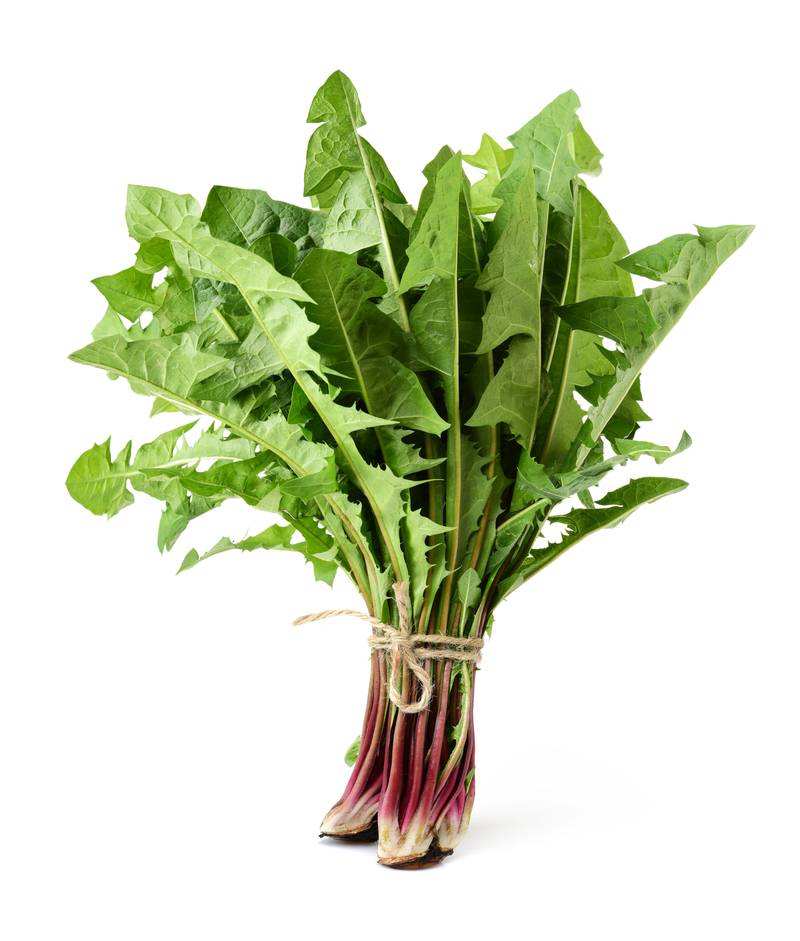 Oregon Dandelion Green Original 12Ct