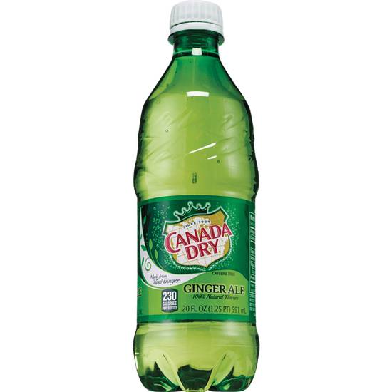 Canada Dry Ginger Ale Soda (Single Bottle)