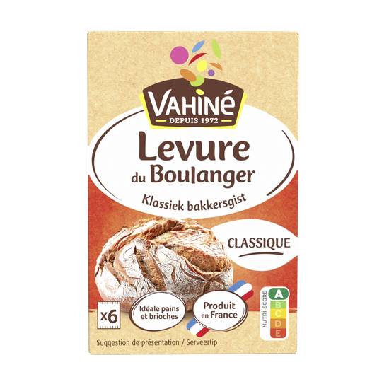 Vahiné - Levure du boulanger traditionnelle (6 pièces)