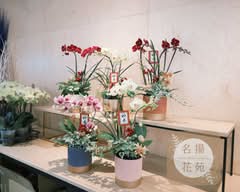 名揚花苑／長春花業社