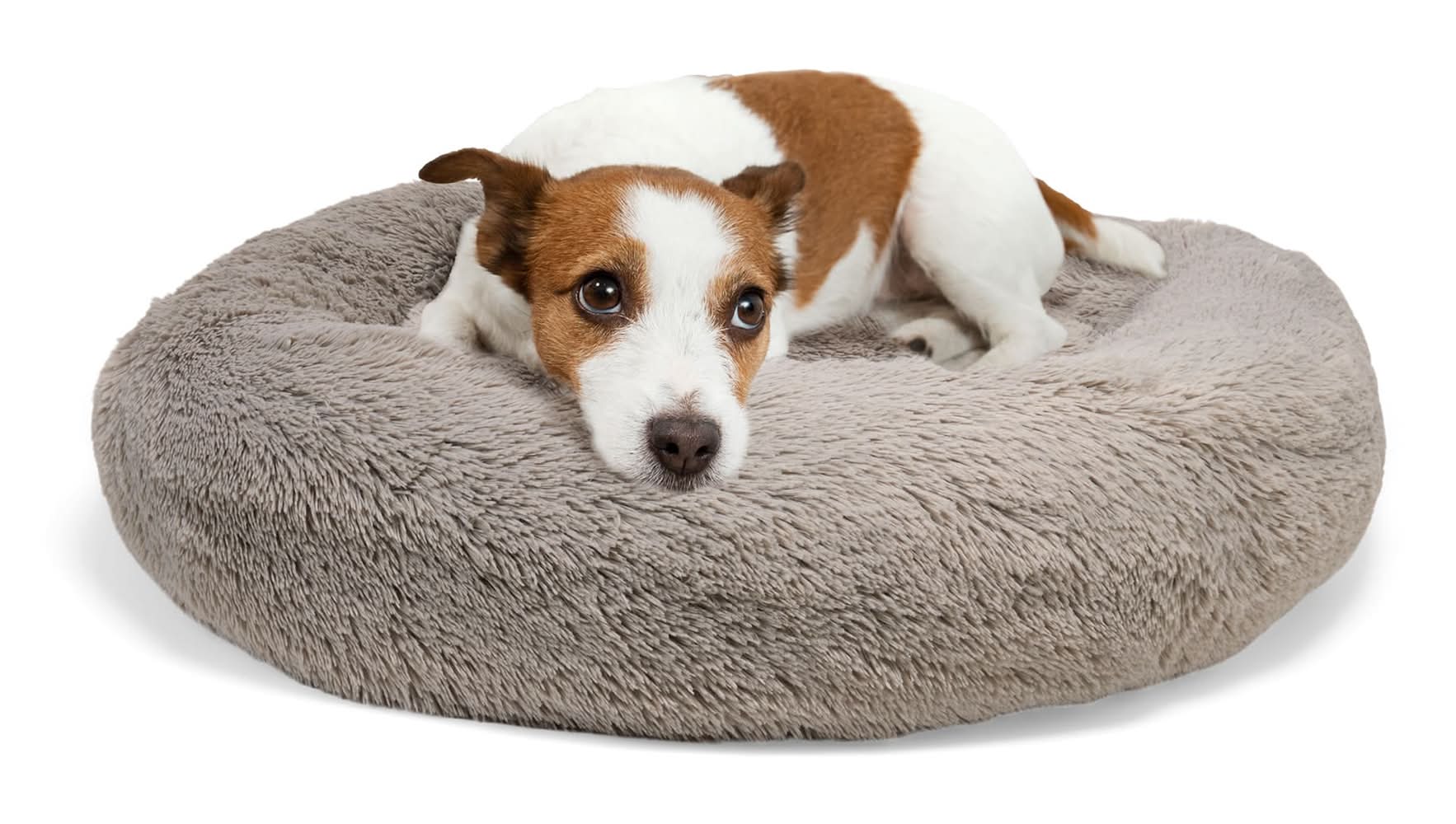 EveryYay FauX Fur Round Cuddler Dog Bed, 36" D X 10" H, Large