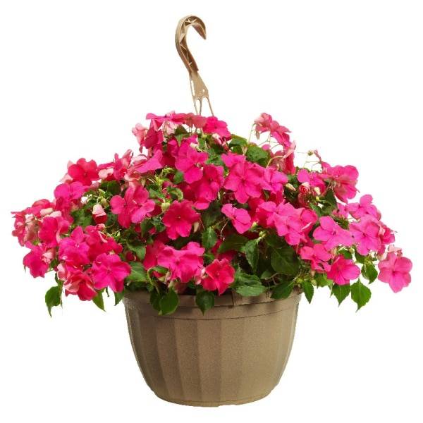 Deluxe Hanging Flower Basket