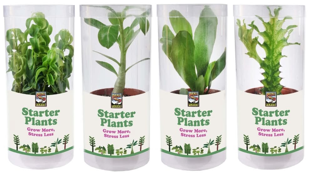 Rocket Farms Starter Plants in Tubes