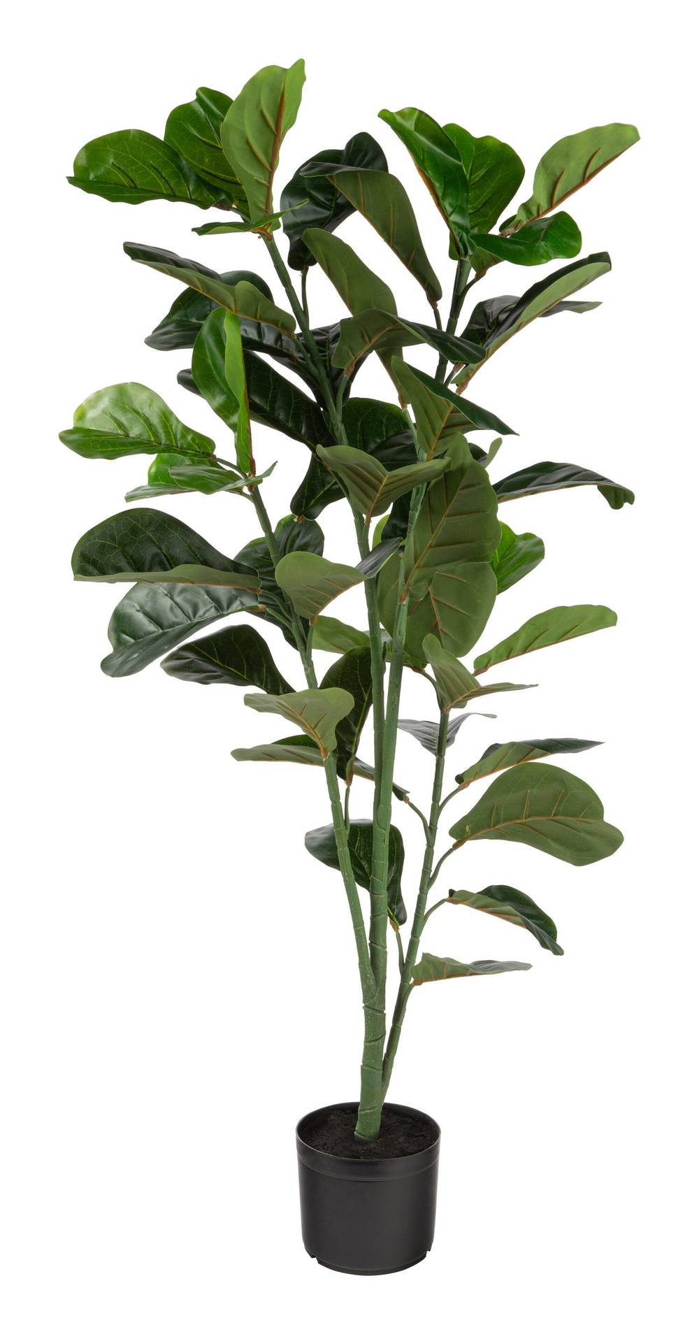 naturae decor 47-in Green Indoor/Outdoor Floor Fiddle Leaf Artificial tree | OUT-FIDDLE-47W