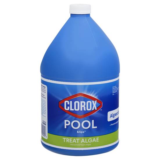 Clorox Pool & Spa Algaecide Plus Clarifier