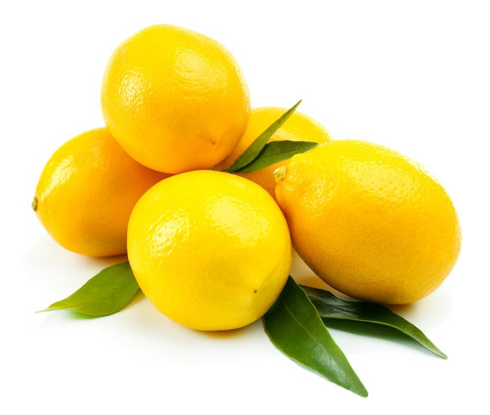 Lemon (size 88-100)