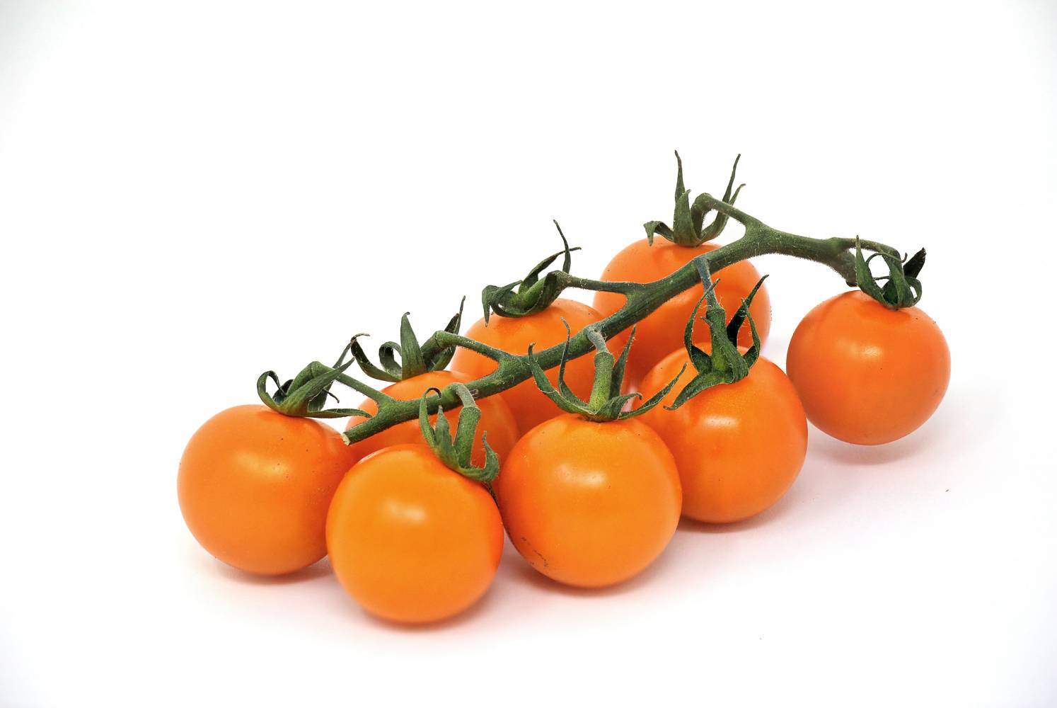 Organic On-The-Vine Tomatoes - 1lb - Good & Gather™