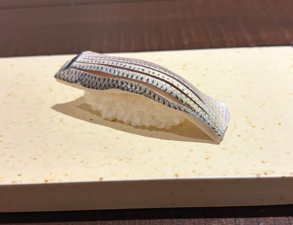 Gizzard Shad (Kohada)