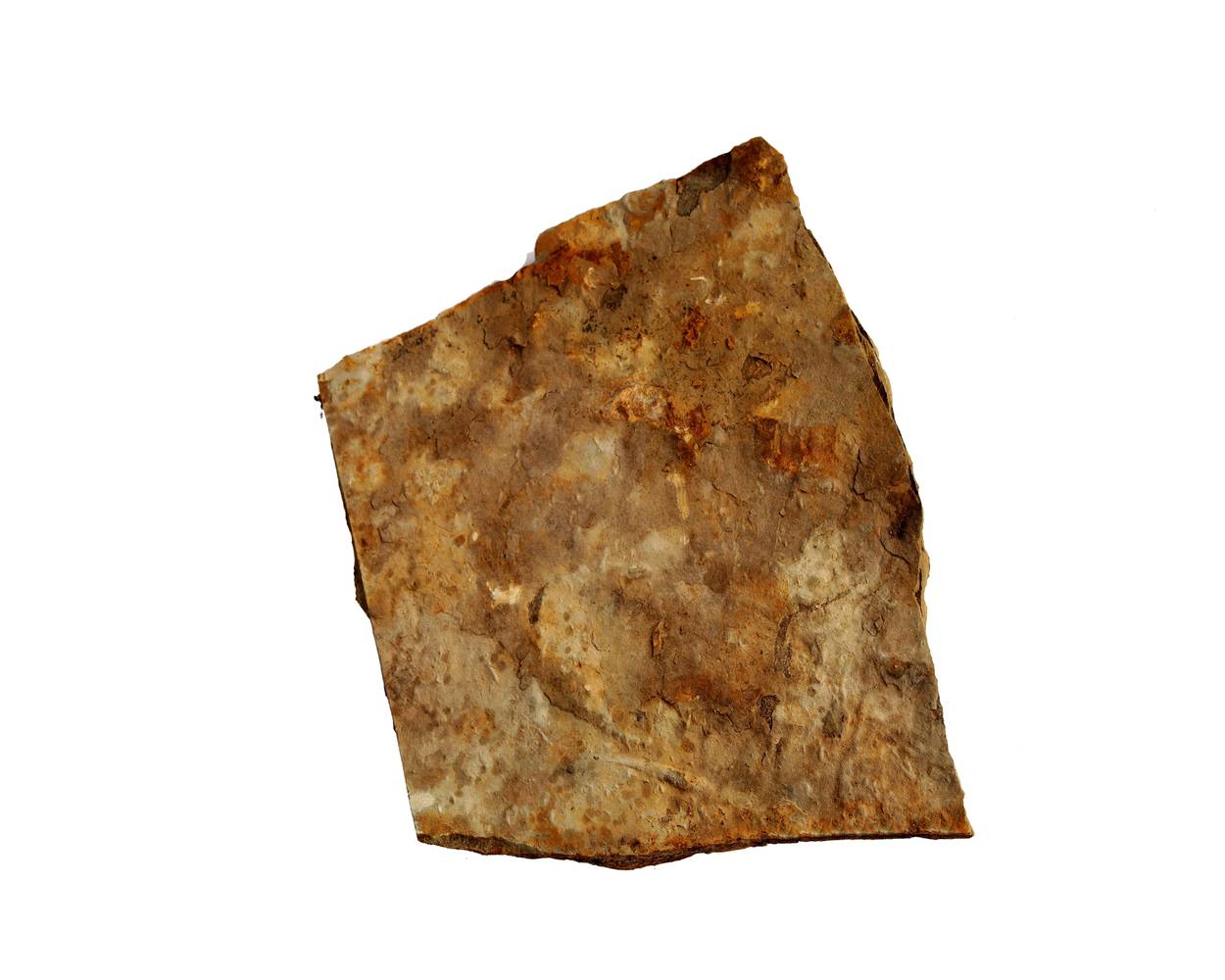 18-in L x 15-in W x 1-in H Irregular Tan Natural Stone Patio Stone | 238570