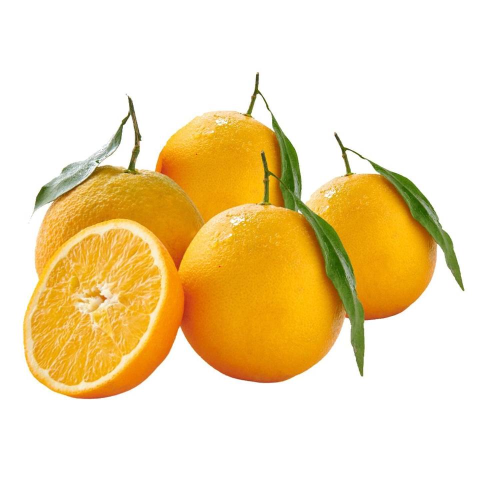 Oranges à feuilles vrac - le kilo