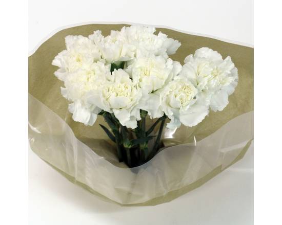 Carnations Bouquet (1 bouquet)