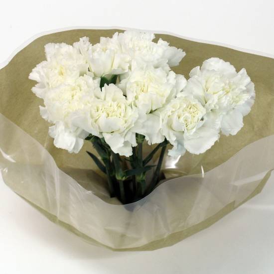 Carnations Bouquet (1 bouquet)