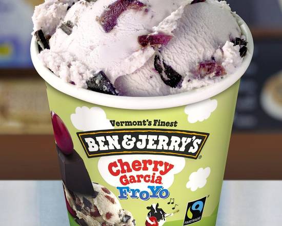 Cherry Garcia Froyo Pint Size Only (GF)