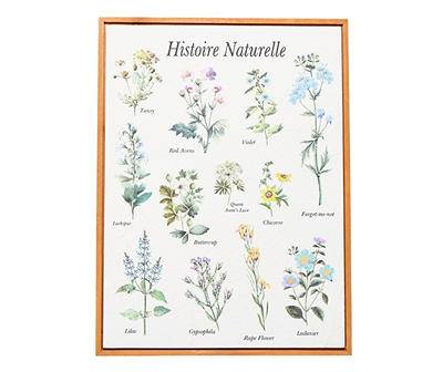 "Histoire Naturelle" Flower Framed Wall Decor