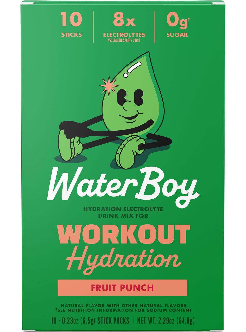 Workout Hydration Electrolyte Drink Mix - Fruit Punch (10 Stick Packs)