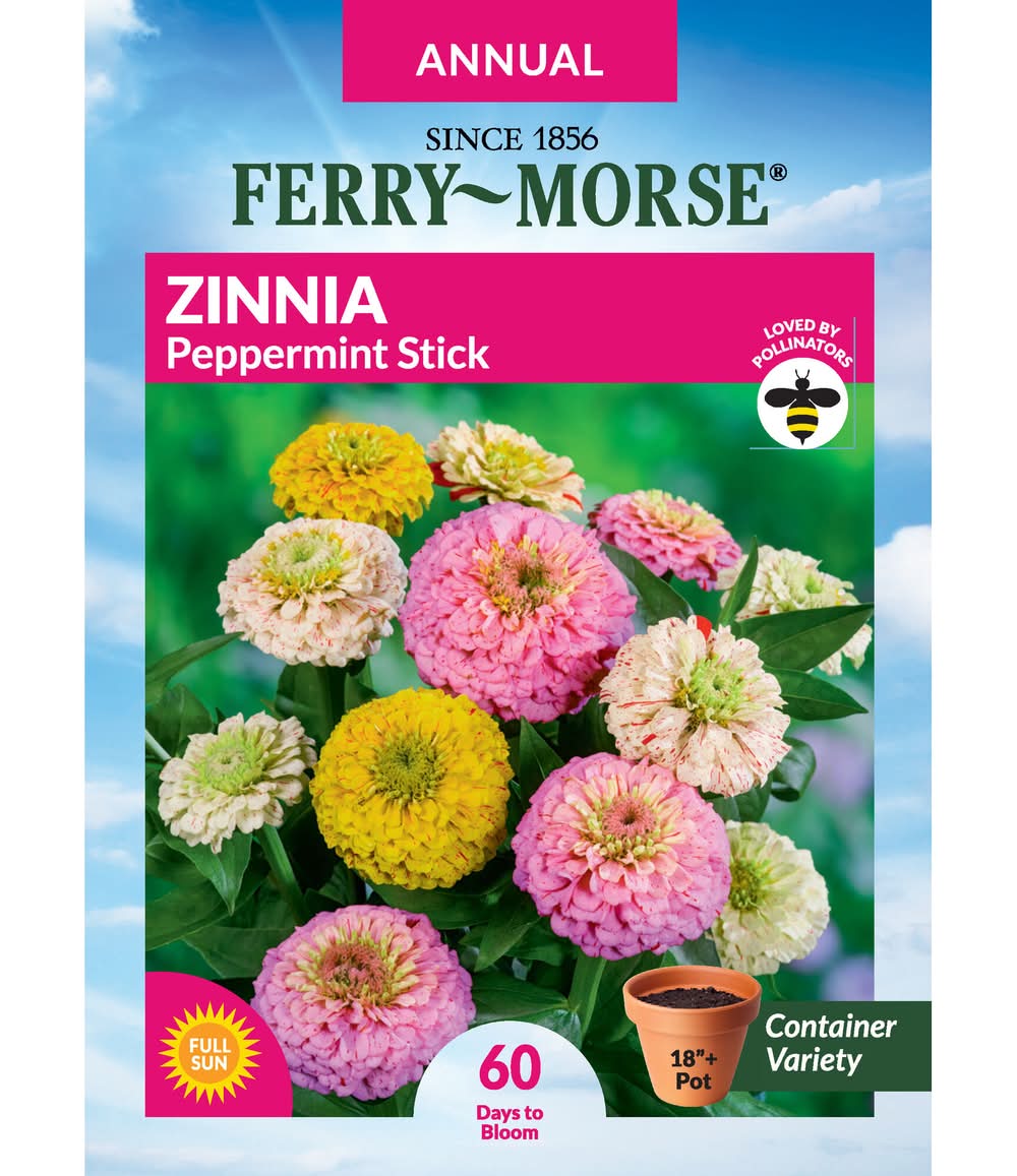 Ferry-Morse Zinnia Seeds 500 Milligram(s)
