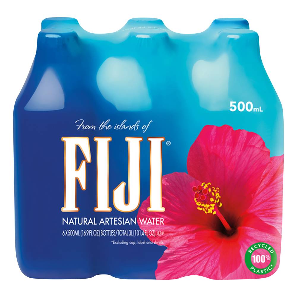 FIJI Natural Artesian Water (6 x 16.9 fl oz)