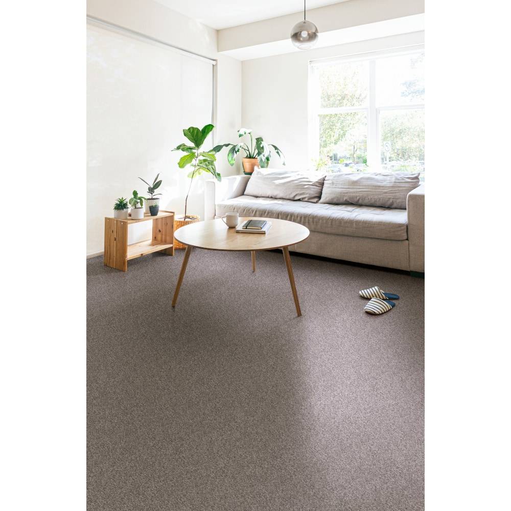 Style Selections Believer Shadow Gray 14.6-oz sq yard Polyester Textured Indoor Carpet | 7L91300502